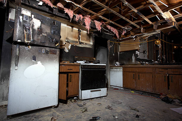 Licensed Fire Damage Removal service in Princeton, TX - Fire Damage Flint